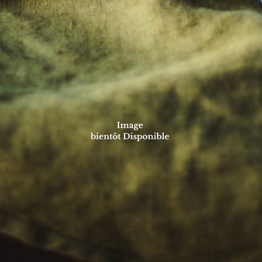 Miel Bio de Thym d'Occitanie (280 g)