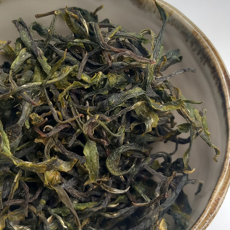 Thé Vert Français du Pays-Basque [Cultivar Cui Lü]