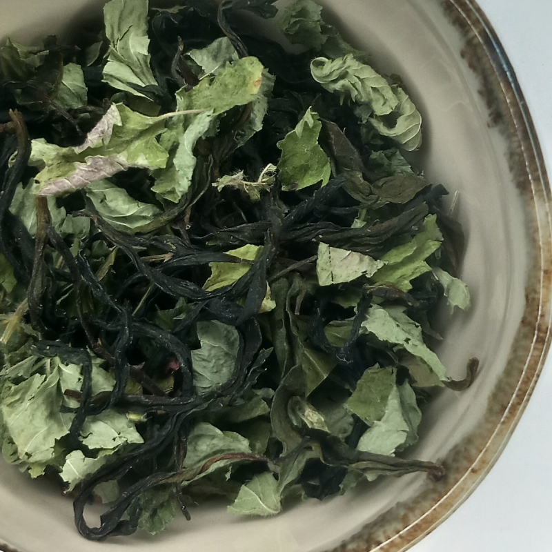 Thé Vert Français d'Occitanie et Calament à grandes fleurs aussi appelé Thé d'Aubrac