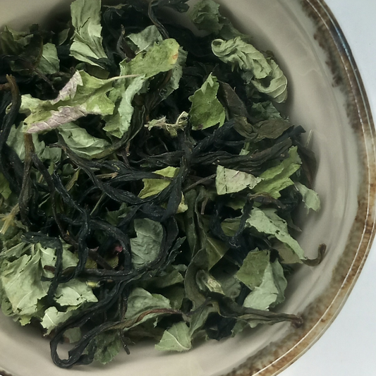 Thé Vert Français d'Occitanie et Calament à grandes fleurs aussi appelé Thé d'Aubrac